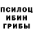 Псилоцибиновые грибы GOLDEN TEACHER Walentina Abramchuk