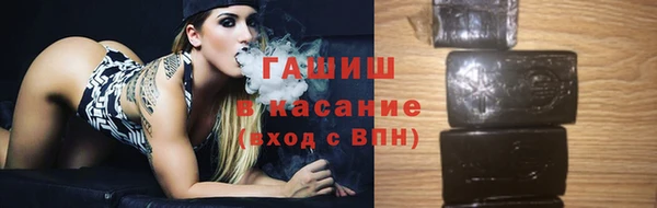 стаф Алзамай