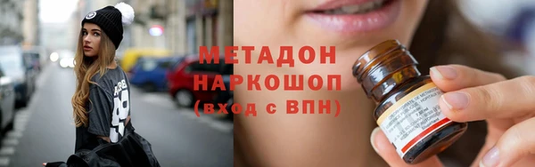 стаф Алзамай