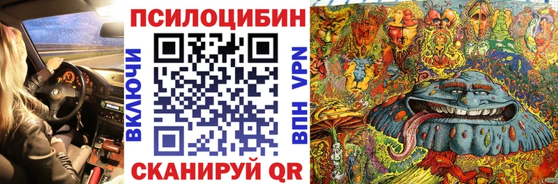 закладки  Нефтекамск  Галлюциногенные грибы Psilocybine cubensis 