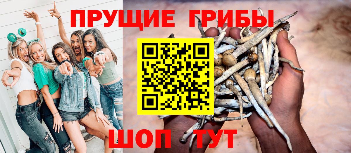 Галлюциногенные грибы MAGIC MUSHROOMS  Вход с VPN  Нефтекамск 